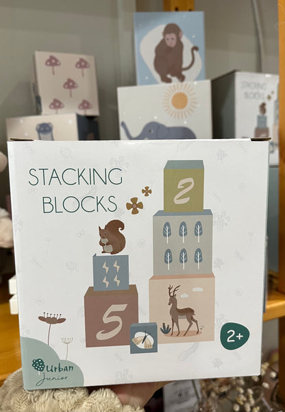 Stacking Blocks