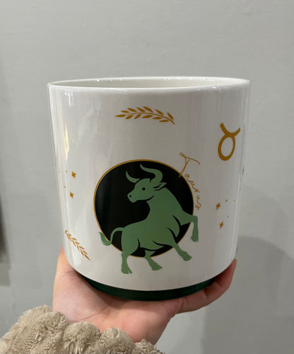 Zodiac Pots