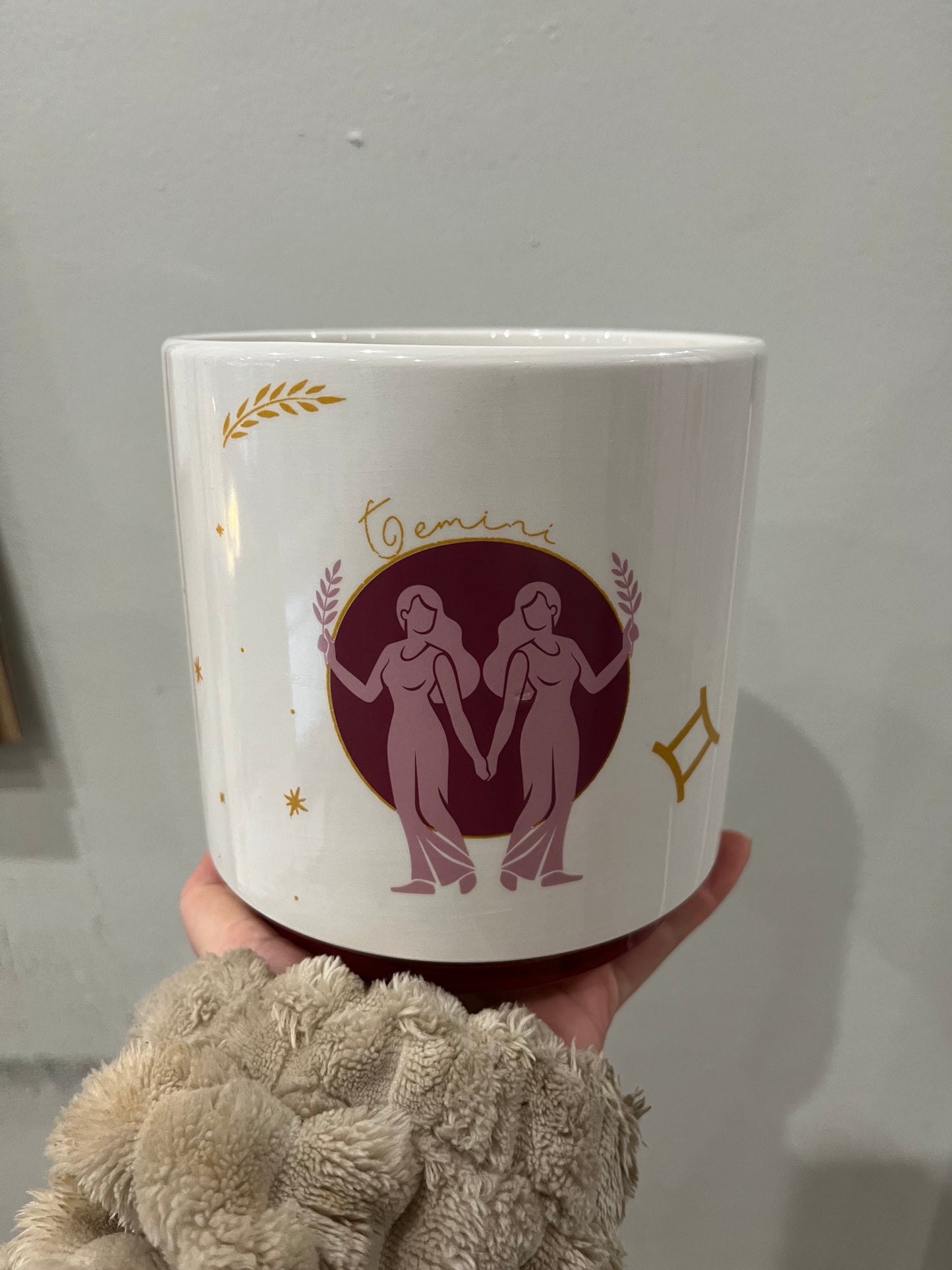Zodiac Pots