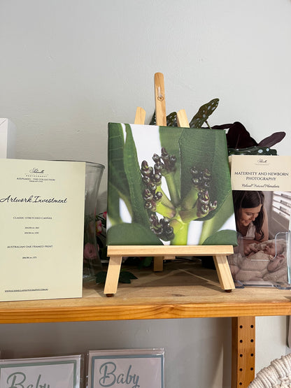 Call ahead: KJ Photography - Canvas prints and more