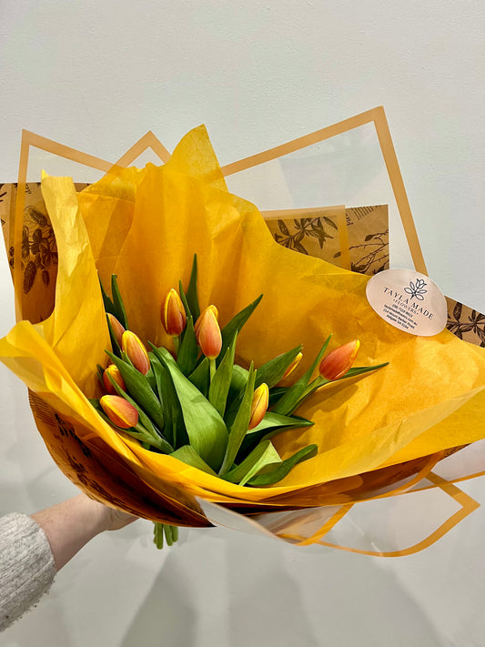 Tulipa - florist choice